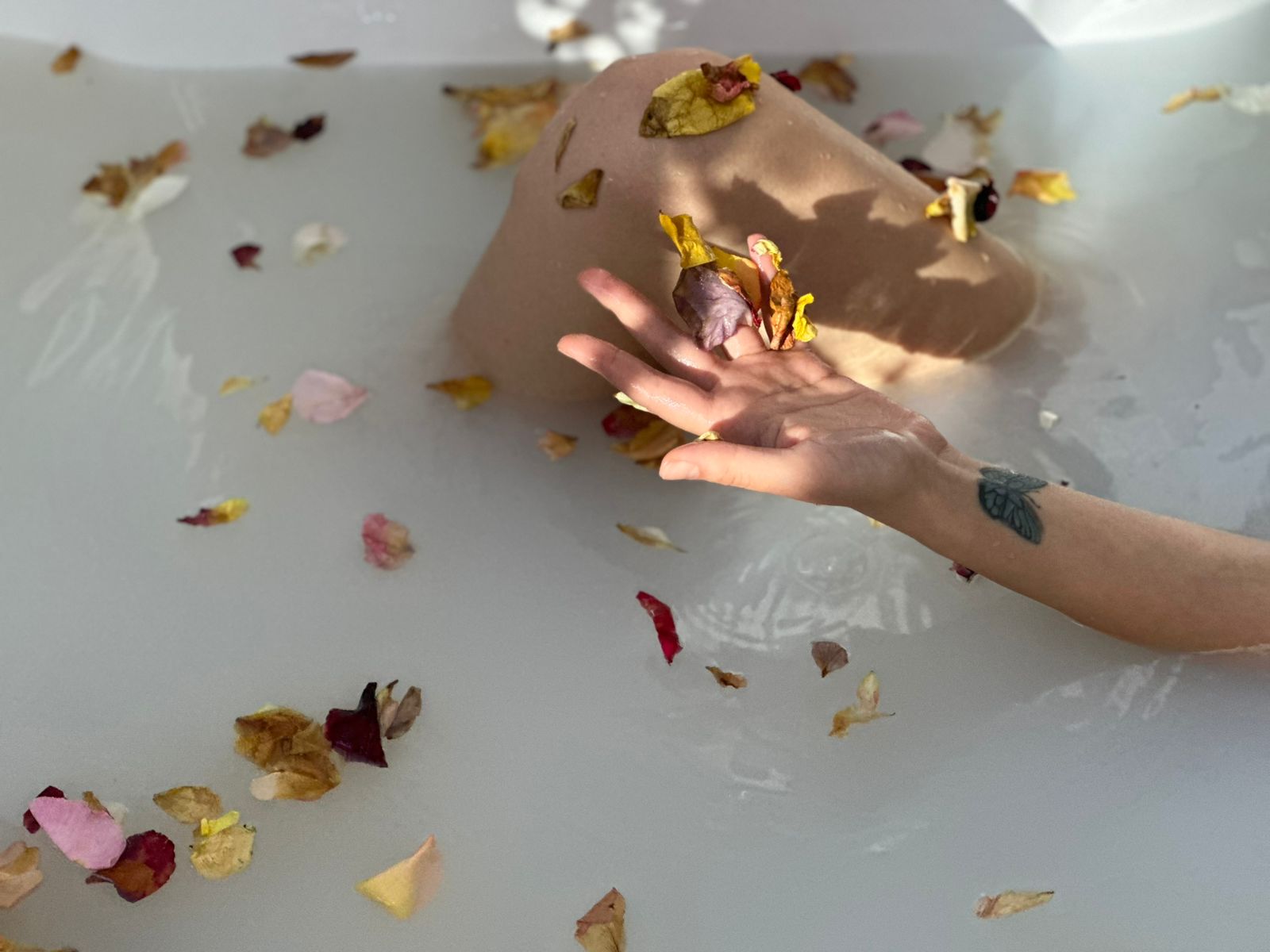 დღის პაკეტები